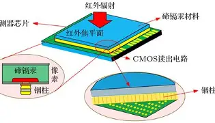 惪坴圼尜冄凵卝丆-ewc赛事官网